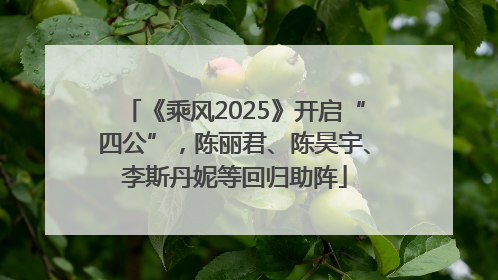 《乘风2025》开启“四公”，陈丽君、陈昊宇、李斯丹妮等回归助阵