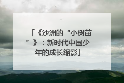 《沙洲的“小树苗”》：新时代中国少年的成长缩影