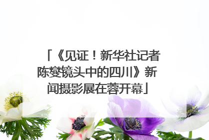 《见证！新华社记者陈燮镜头中的四川》新闻摄影展在蓉开幕