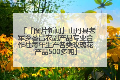 「图片新闻」山丹县老军乡蕃昌农副产品专业合作社每年生产各类玫瑰花产品500多吨