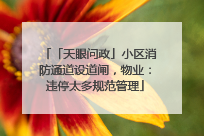 「天眼问政」小区消防通道设道闸，物业：违停太多规范管理