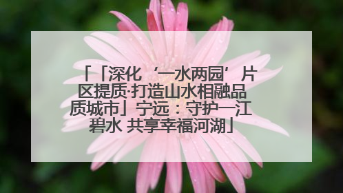 「深化‘一水两园’片区提质·打造山水相融品质城市」宁远：守护一江碧水 共享幸福河湖