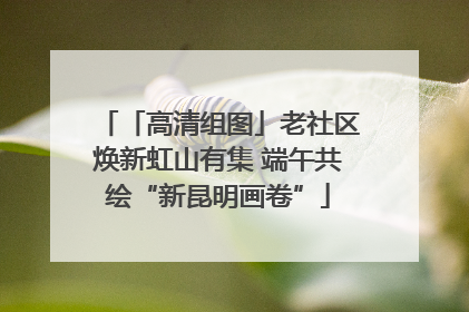 「高清组图」老社区焕新虹山有集 端午共绘“新昆明画卷”