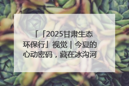 「2025甘肃生态环保行」视觉｜今夏的心动密码，藏在冰沟河的潋滟波光里