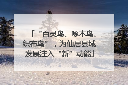 “百灵鸟、啄木鸟、织布鸟”，为仙居县域发展注入“新”动能
