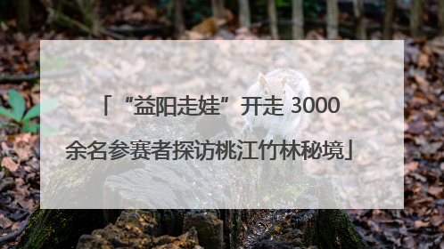 “益阳走娃”开走 3000余名参赛者探访桃江竹林秘境