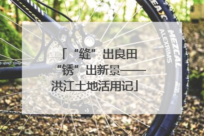 “缝”出良田 “锈”出新景——洪江土地活用记