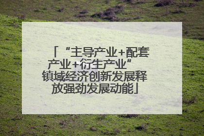 “主导产业+配套产业+衍生产业” 镇域经济创新发展释放强劲发展动能