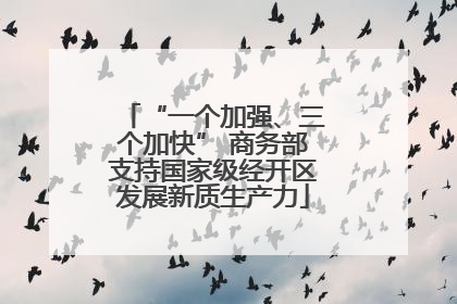 “一个加强、三个加快” 商务部支持国家级经开区发展新质生产力
