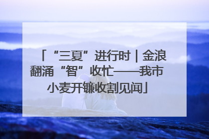 “三夏”进行时｜金浪翻涌“智”收忙——我市小麦开镰收割见闻