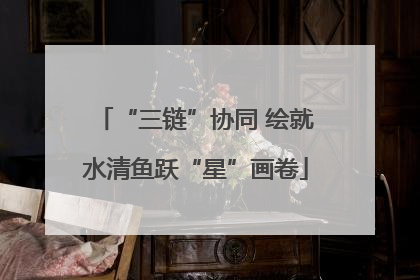 “三链”协同 绘就水清鱼跃“星”画卷