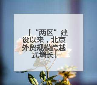 “两区”建设以来，北京外贸规模跨越式增长
