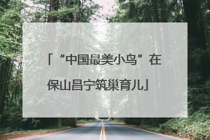 “中国最美小鸟”在保山昌宁筑巢育儿