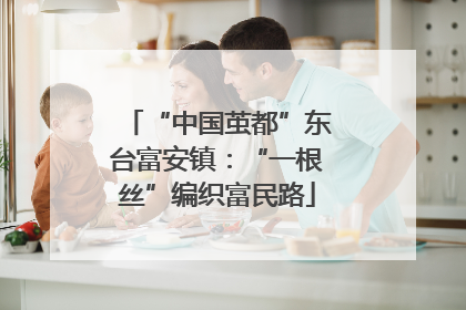 “中国茧都”东台富安镇：“一根丝”编织富民路