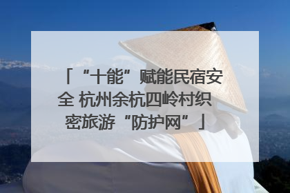 “十能”赋能民宿安全 杭州余杭四岭村织密旅游“防护网”