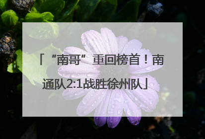 “南哥”重回榜首！南通队2:1战胜徐州队