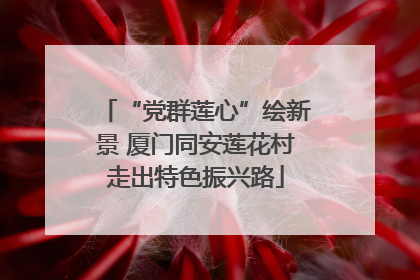 “党群莲心”绘新景 厦门同安莲花村走出特色振兴路