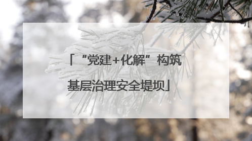 “党建+化解”构筑基层治理安全堤坝