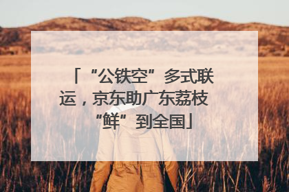 “公铁空”多式联运，京东助广东荔枝“鲜”到全国