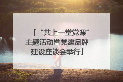 “共上一堂党课”主题活动暨党建品牌建设座谈会举行