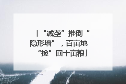“减垄”推倒“隐形墙”，百亩地“捡”回十亩粮
