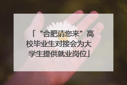 “合肥请您来”高校毕业生对接会为大学生提供就业岗位