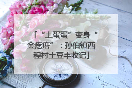 “土蛋蛋”变身“金疙瘩”：孙伯镇西程村土豆丰收记