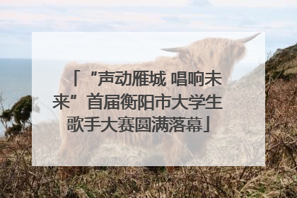 “声动雁城 唱响未来”首届衡阳市大学生歌手大赛圆满落幕
