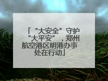 “大安全”守护“大平安”，郑州航空港区明港办事处在行动
