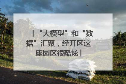 “大模型”和“数据”汇聚，经开区这座园区很酷炫