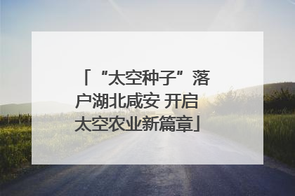 “太空种子”落户湖北咸安 开启太空农业新篇章