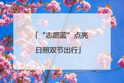 “志愿蓝”点亮日照双节出行