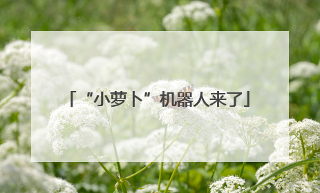 “小萝卜”机器人来了