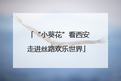 “小葵花”看西安走进丝路欢乐世界