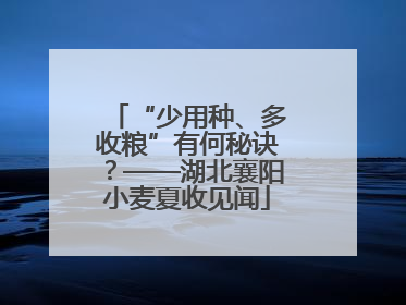 “少用种、多收粮”有何秘诀？——湖北襄阳小麦夏收见闻