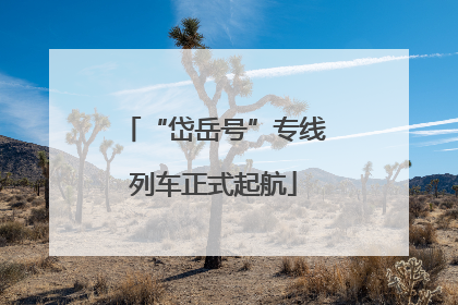 “岱岳号”专线列车正式起航