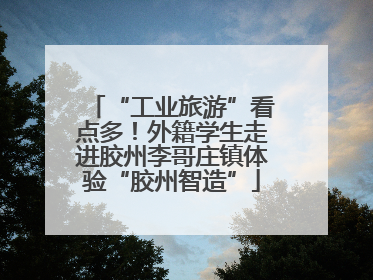 “工业旅游”看点多！外籍学生走进胶州李哥庄镇体验“胶州智造”