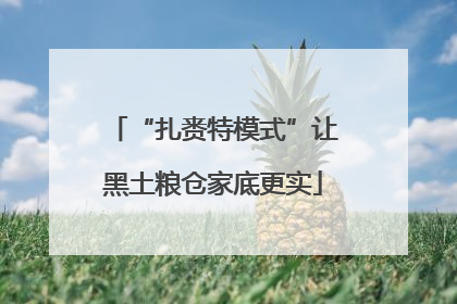 “扎赉特模式”让黑土粮仓家底更实