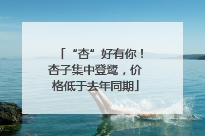 “杏”好有你！杏子集中登鹭，价格低于去年同期