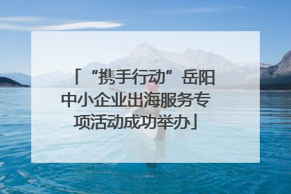 “携手行动”岳阳中小企业出海服务专项活动成功举办