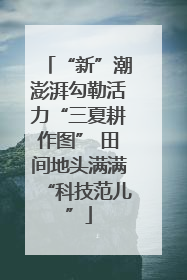 “新”潮澎湃勾勒活力“三夏耕作图” 田间地头满满“科技范儿”