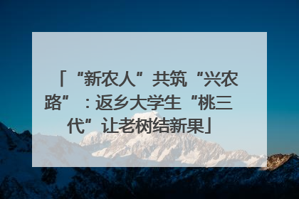“新农人”共筑“兴农路”：返乡大学生“桃三代”让老树结新果