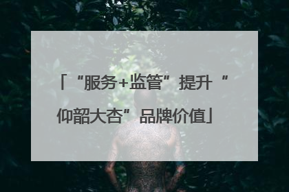 “服务+监管”提升“仰韶大杏”品牌价值