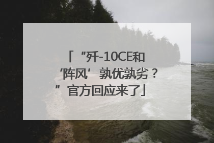 “歼-10CE和‘阵风’孰优孰劣？”官方回应来了