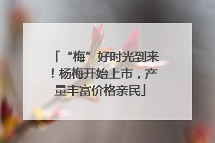 “梅”好时光到来！杨梅开始上市，产量丰富价格亲民