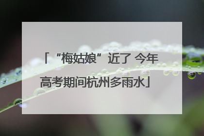 “梅姑娘”近了 今年高考期间杭州多雨水