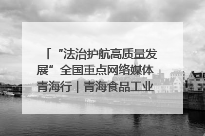 “法治护航高质量发展”全国重点网络媒体青海行｜青海食品工业协会：架起“青字号”美食的产业化桥梁