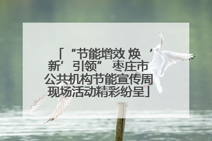 “节能增效 焕‘新’引领” 枣庄市公共机构节能宣传周现场活动精彩纷呈