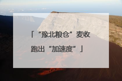 “豫北粮仓”麦收跑出“加速度”