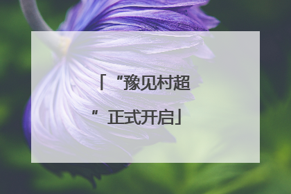 “豫见村超”正式开启